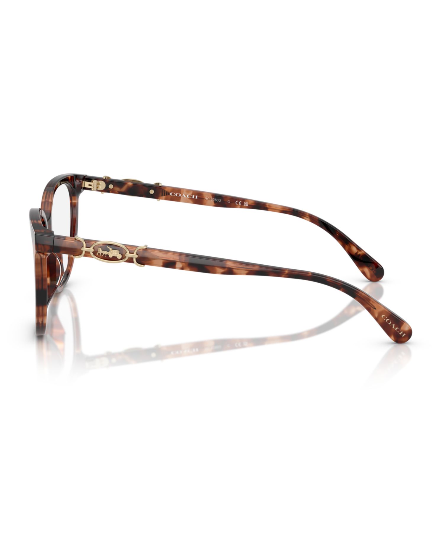 Woman Square Plastic HC6260U Eyeglasses