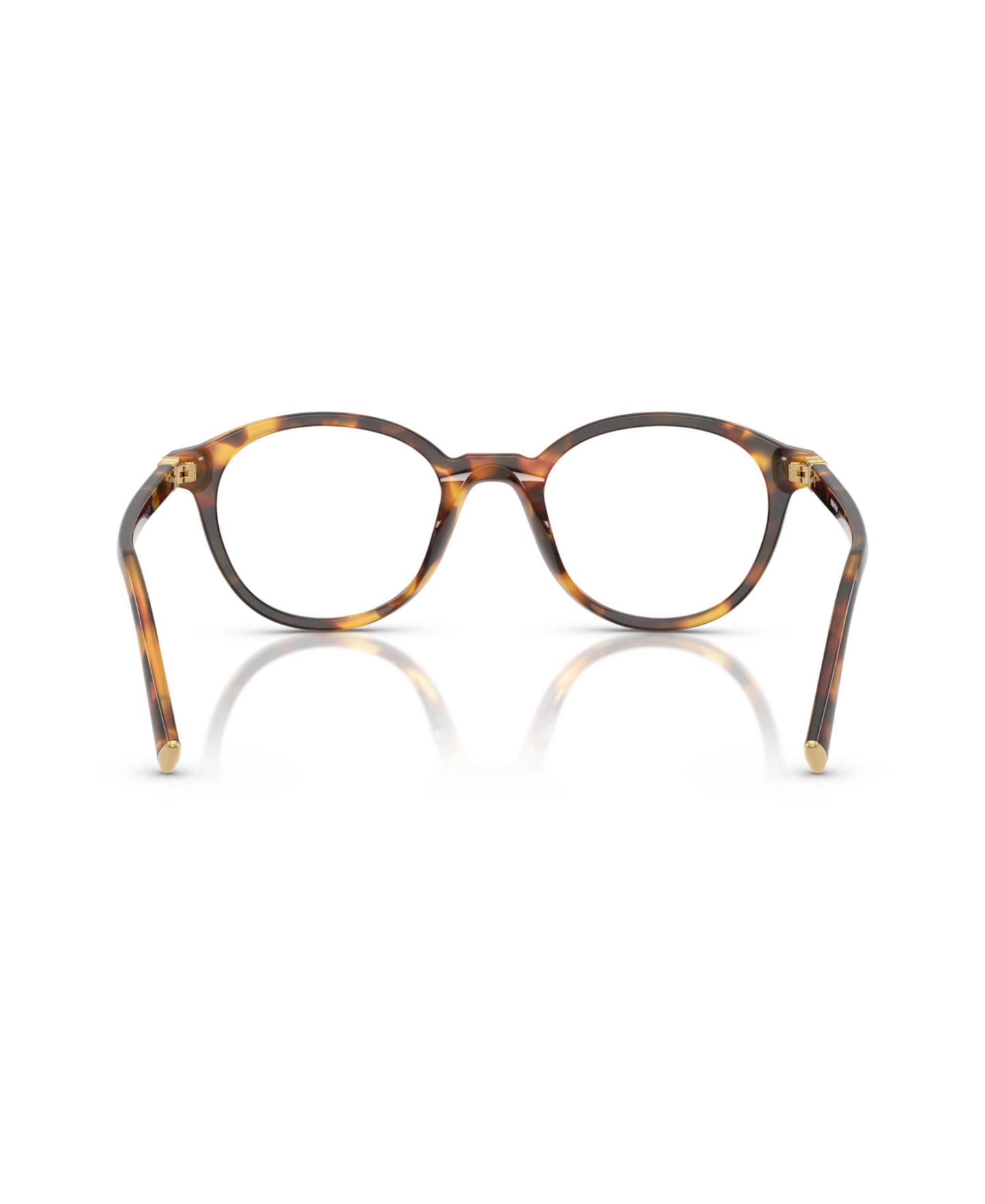 Женские очки MIU MIU Woman Round Plastic MU 02WVF Eyeglasses, цвет: Медовый гавана — фото 3