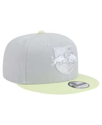 Men's Gray New York Red Bulls Color Pack Two-Tone 9FIFTY Snapback Hat
