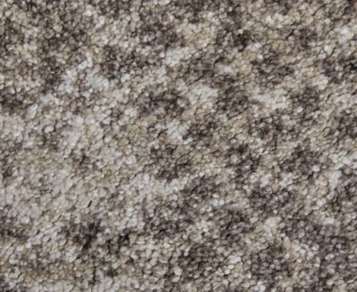 Skyview 39QCF 7'10"x10' Area Rug