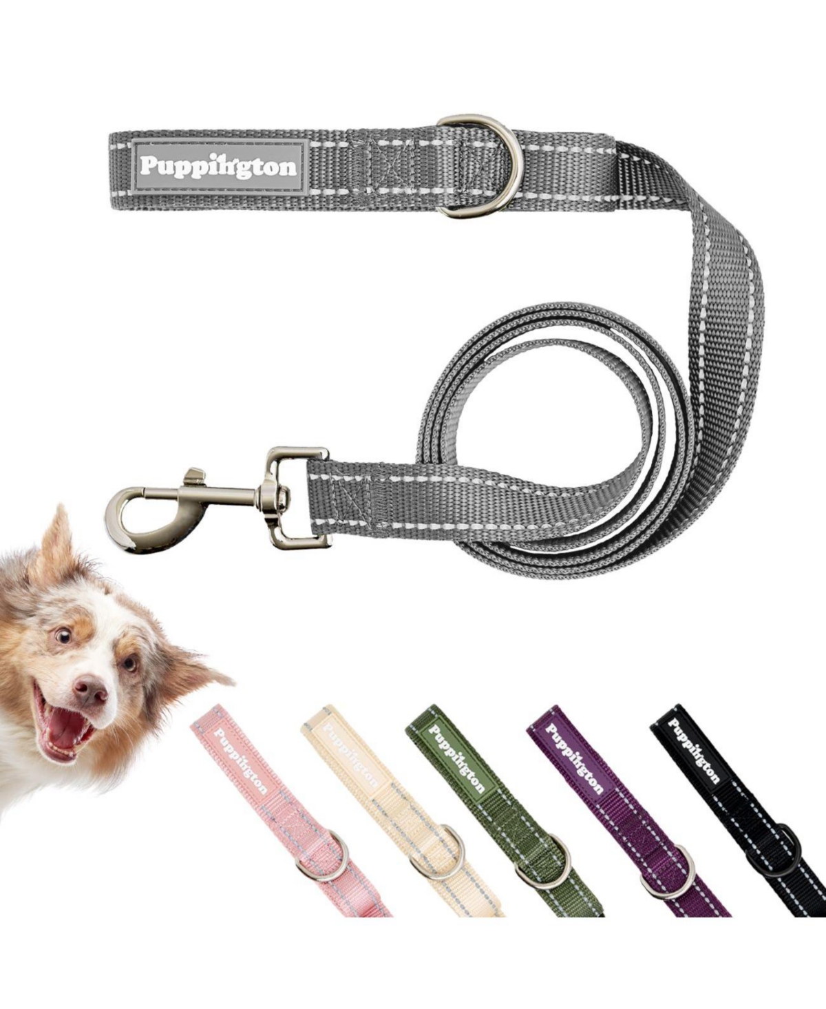 Reflective Leash - Plum wine