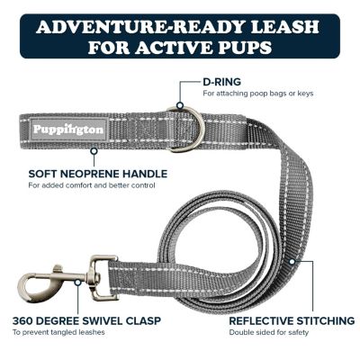 Reflective Leash