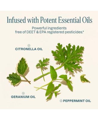 Mosquito Repellent Refillable Wristbands - 1PK & 2 Refills