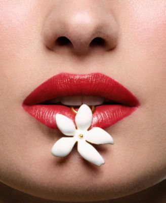 Fabulous Kiss Sheer Lipstick Refill