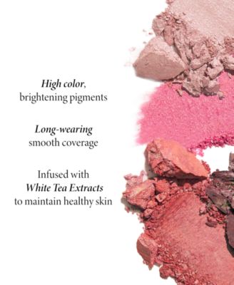 Baked Blush-N-Brighten Marbleized Blush