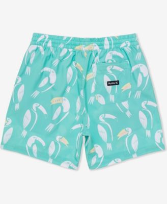 Men's Cannonball Volley Boardshorts