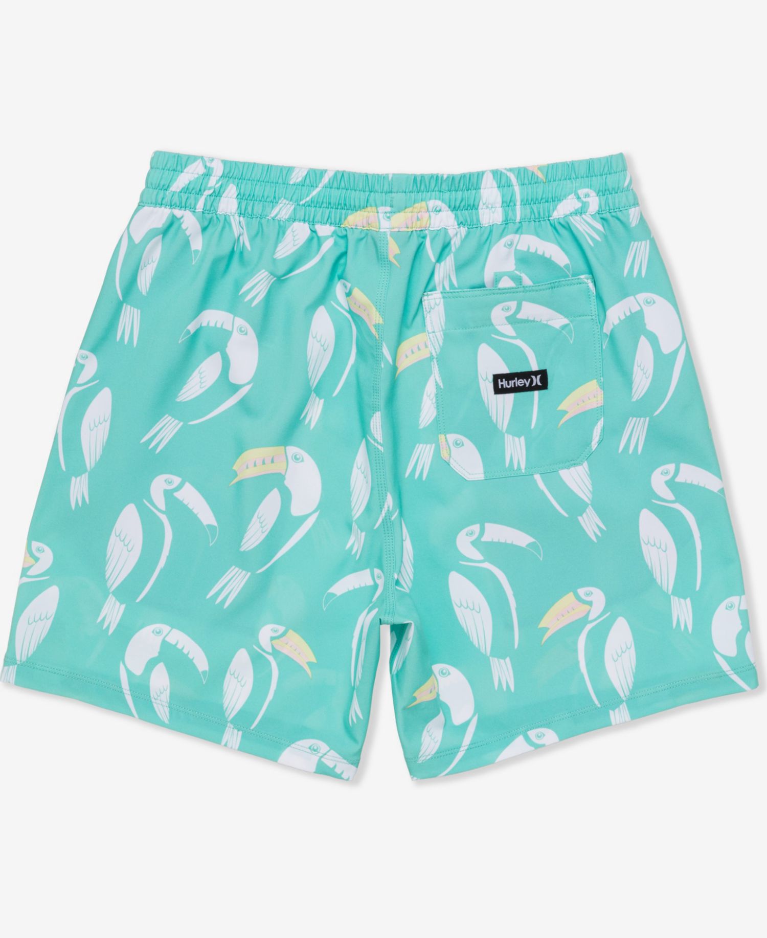 Men's Cannonball Volley Boardshorts