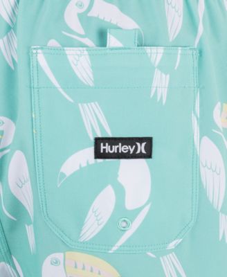 Men's Cannonball Volley Boardshorts