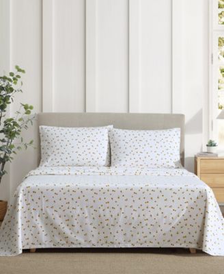 Printed 100% Cotton Percale 4-Pc. Sheet Set, Full&nbsp;