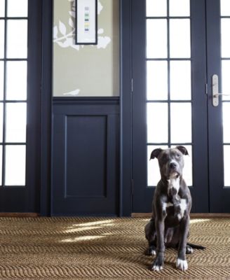 Wave RDA433 8'x10' Area Rug