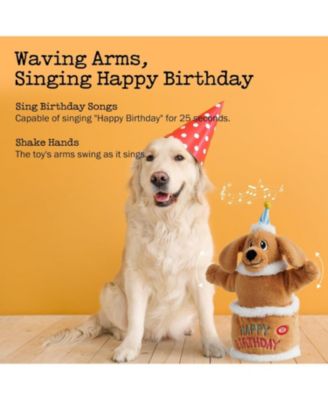 Birthday Cake Dog Toy, Dancing with Echo Function Feature, Singing Birthday Songs, Interactive Dog Toys, Plush Stuffed Puppy Toy