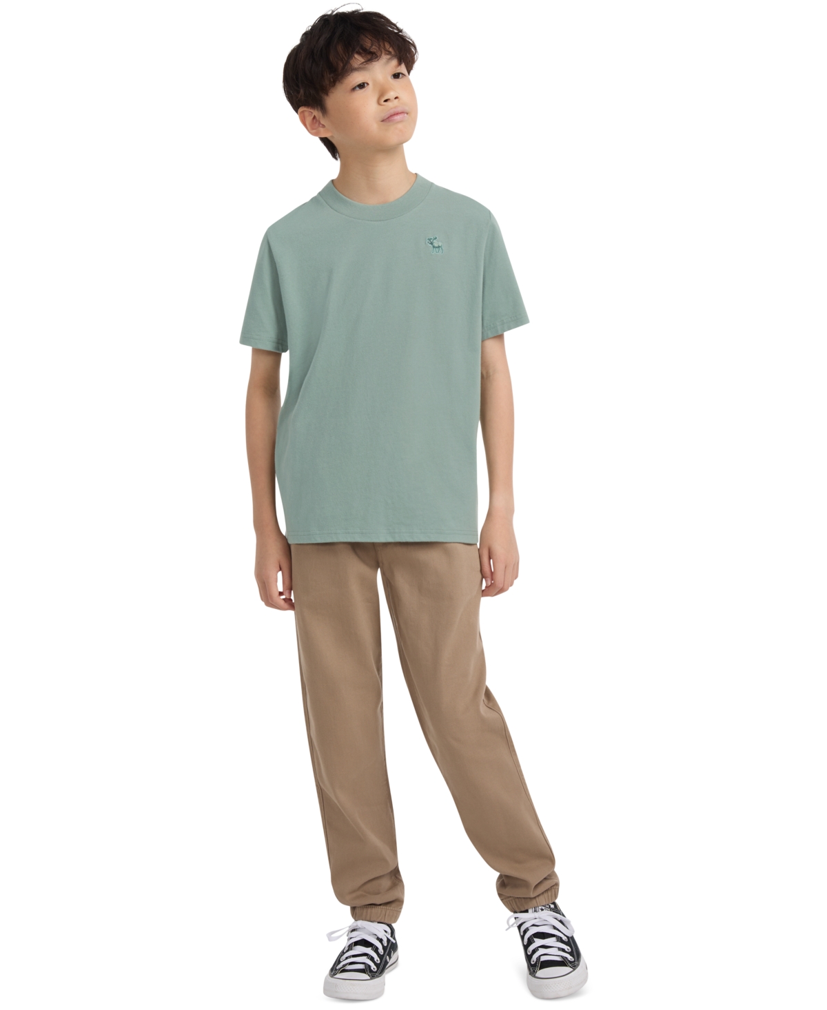 Abercrombie Boys Essential T-shirt In Green