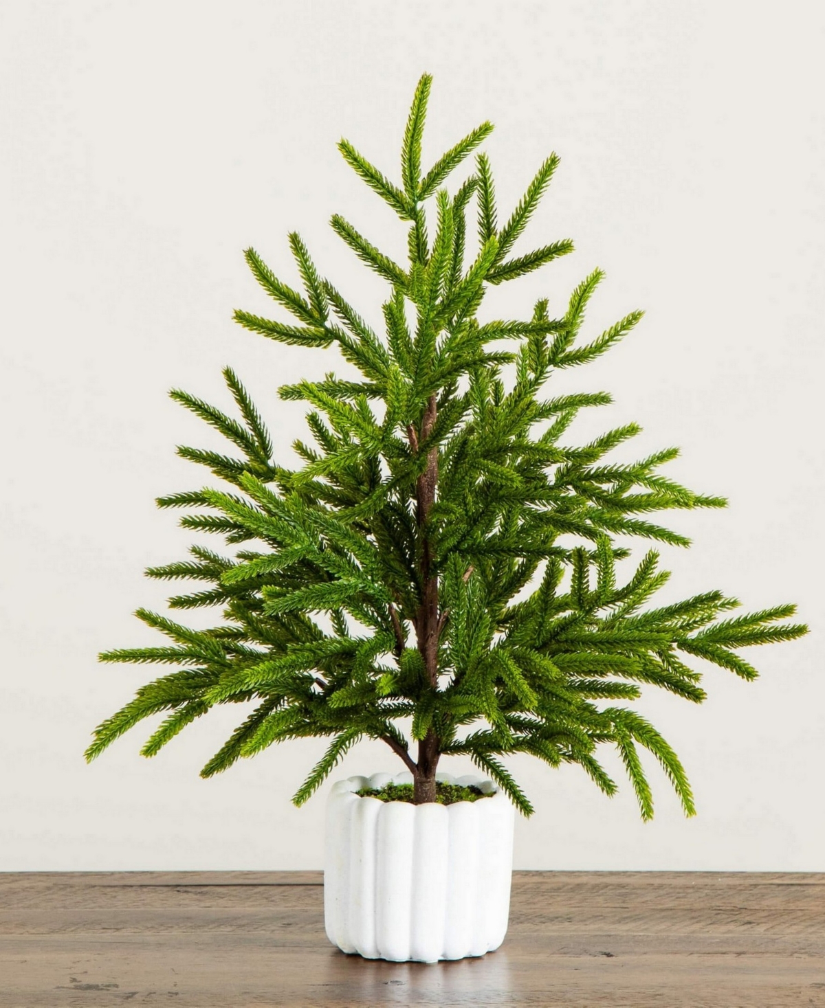 Nearly Natural 22in. Artificial Real Touch Norfolk Island Pine In In Green