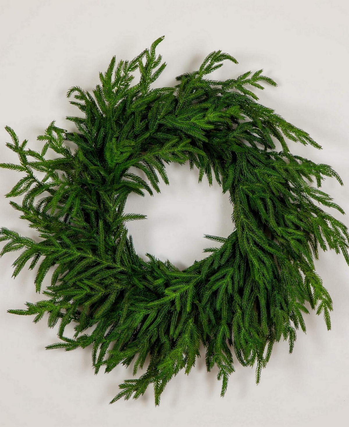 Nearly Natural 24" Artificial Touch Norfolk Island Pine Wreath With Natural Look In Green