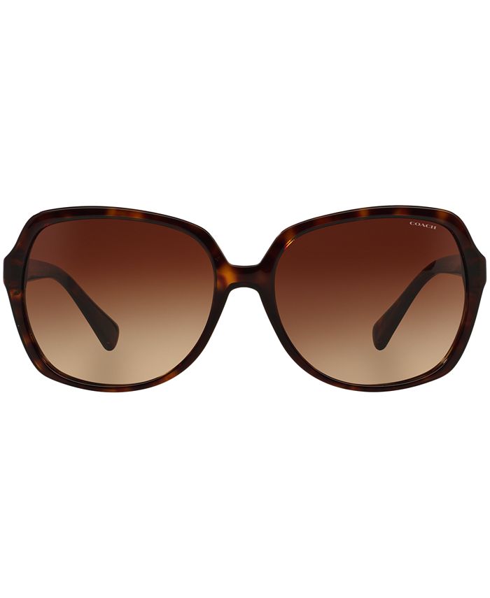 COACH Sunglasses, HC8155Q Macy's