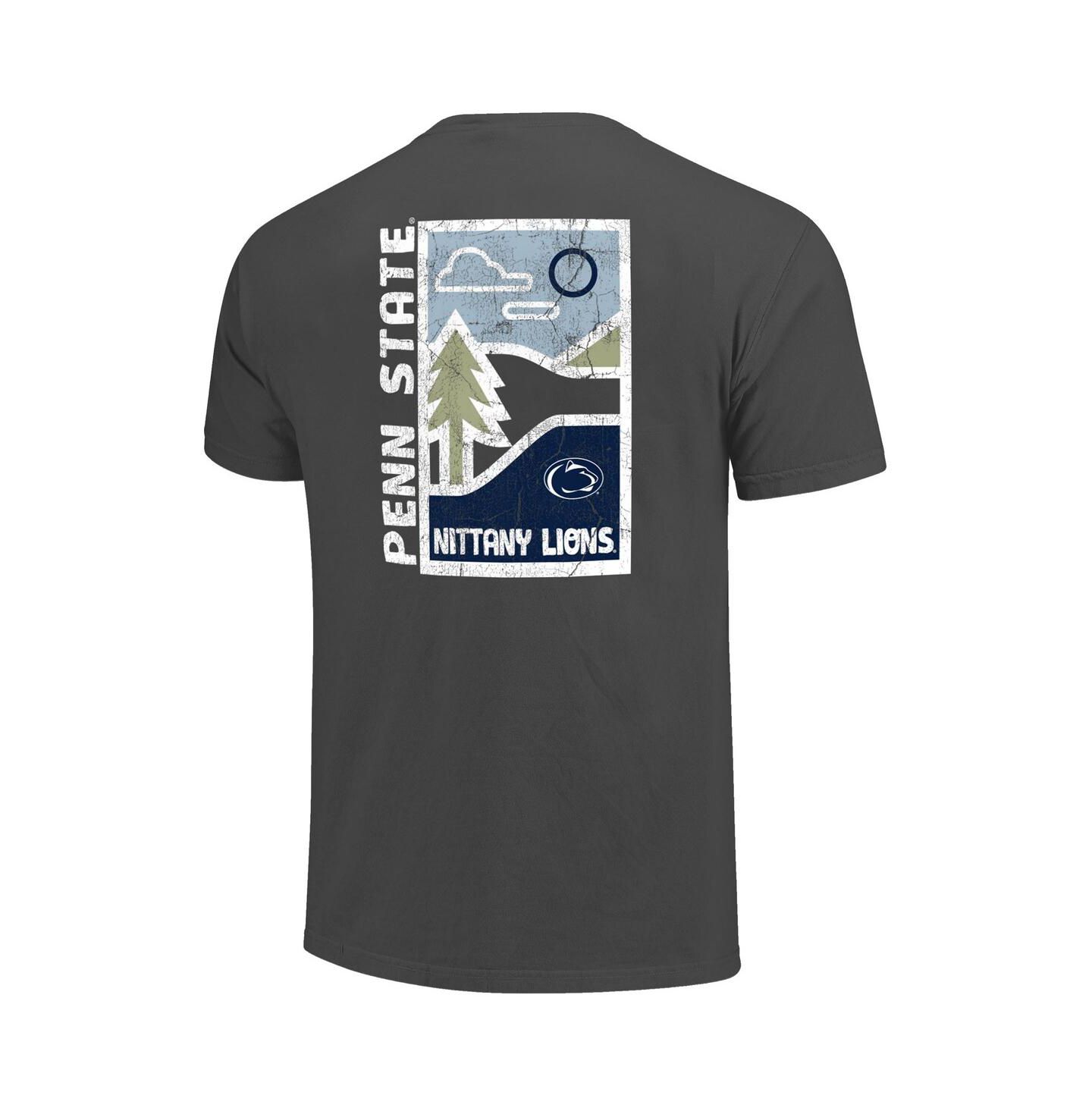 Мужская футболка Image One Graphite Penn State Nittany Lions Comfort Colors Minimal Vista Distressed Graphics — фото 3