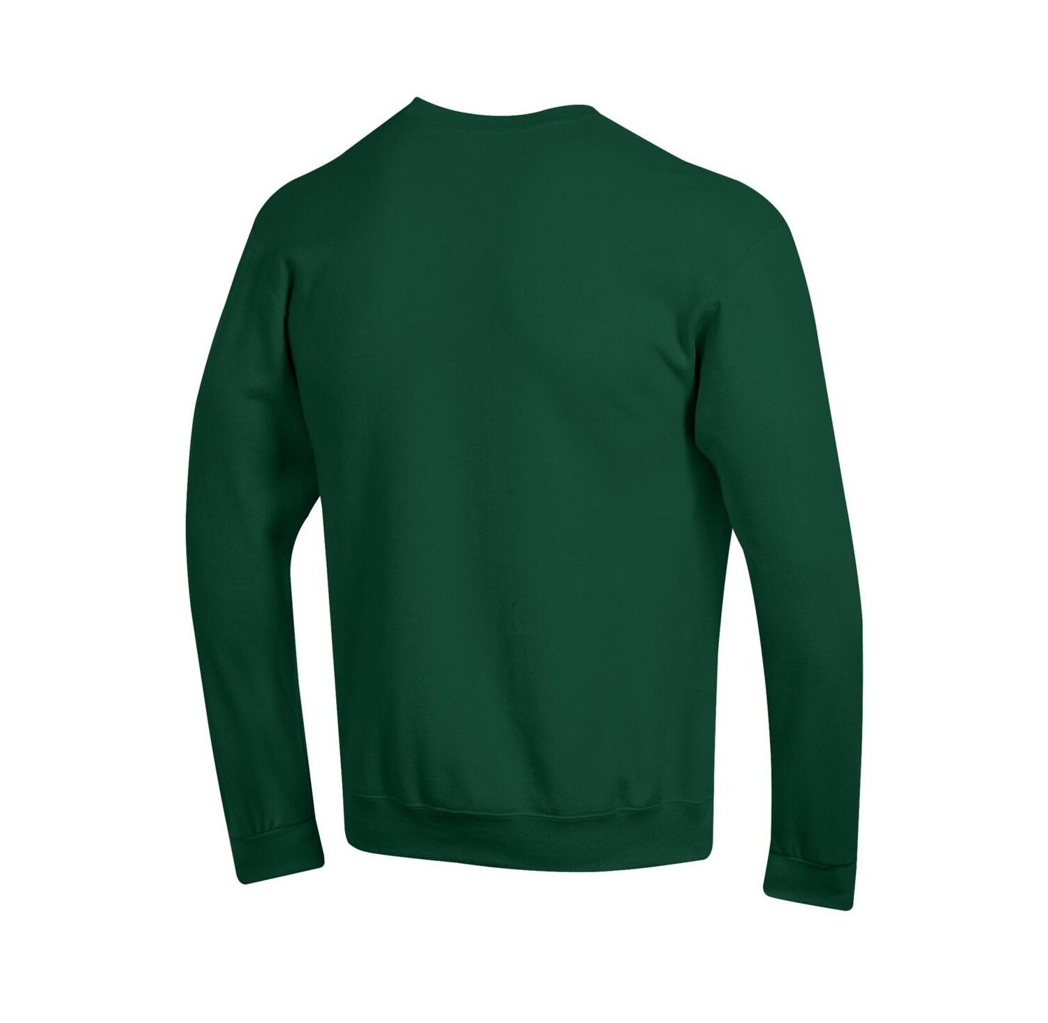 Men's Green Tulane Green Wave Basic Arch Fleece Pullover Sweatshirt