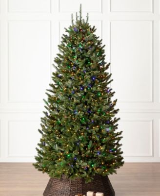6.5 ft Pre-Lit Fraser Fir Narrow Tree