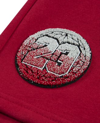 Big Boys Colorblocked Logo Pull-On Fleece Shorts