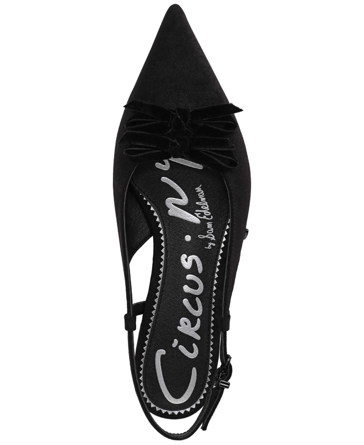 Circus Ny By Sam Edelman Delanie Pointed Toe Slingback Flat In Black
