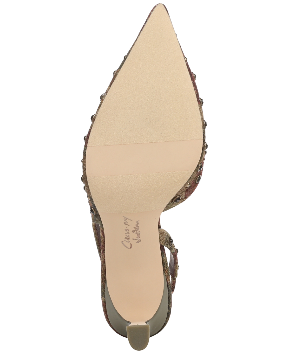 Circus Ny By Sam Edelman Tallie Pointed Toe Slingback Pump In Brown