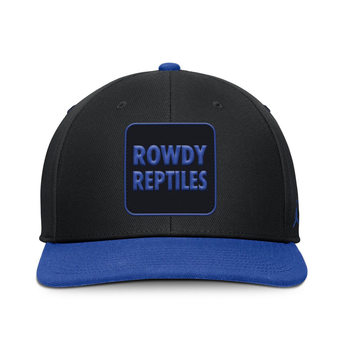 Мужская кепка Jordan Black/Royal Florida Gators 2025 Sideline Campus Pro Local Snapback Hat — фото 2