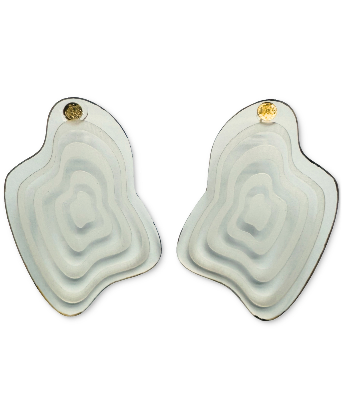 Swanky Designs Catira Geometric Earrings In Transparent