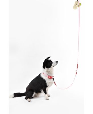 Luna 8FT Adjustable 6-in-1 Waterproof Hands-Free Leash and Collar with LED Flashlight, Bag Dispenser, and Poop Bag Holder