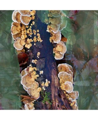 Oud Immortel Eau de Parfum Spray, 3.3 oz.