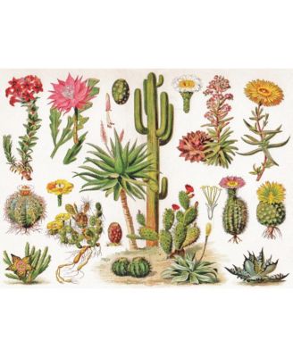 Cacti  Cactus 1000 Piece Puzzle
