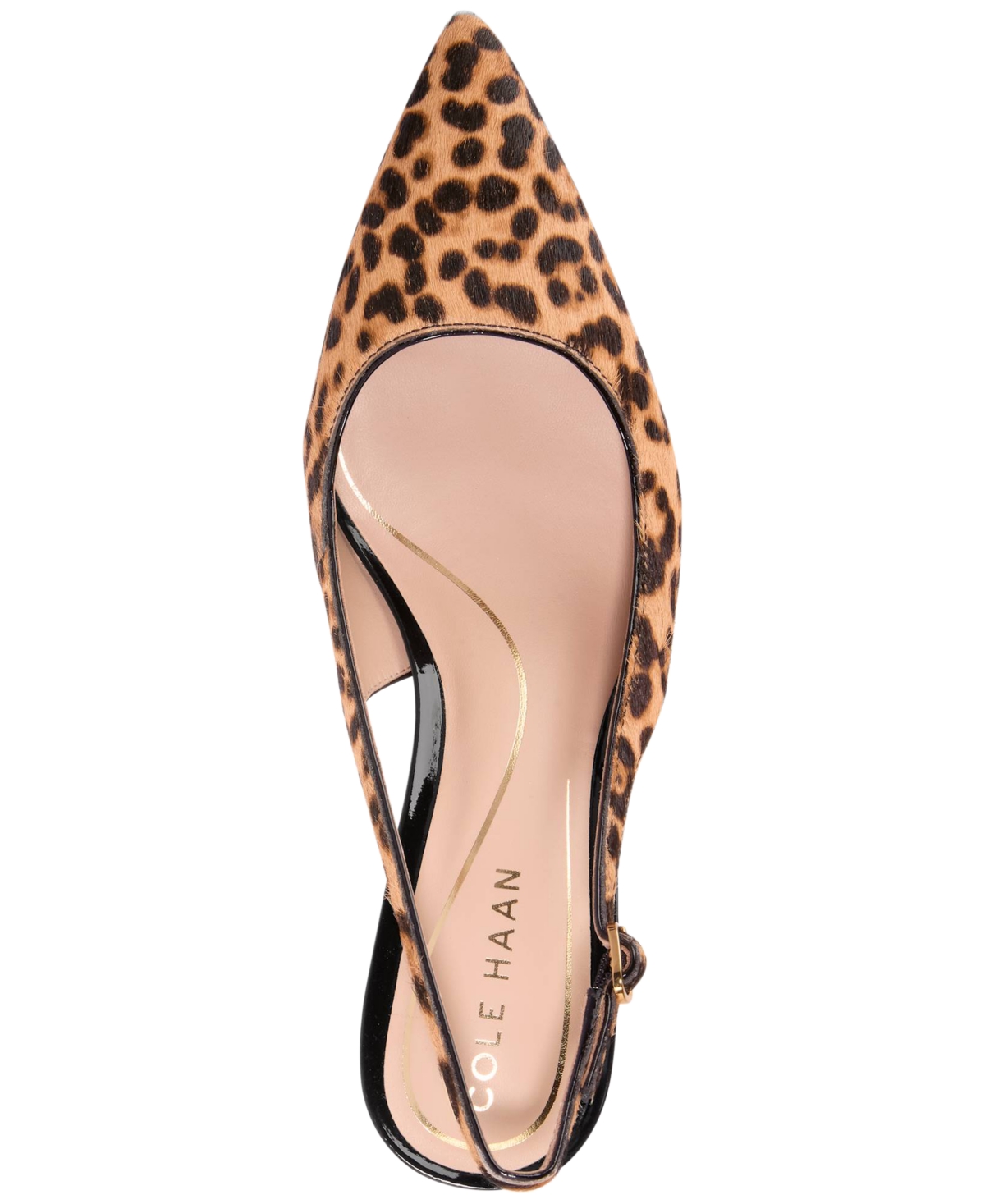 Cole Haan Hansell Slingback Pointed Toe Pump In Animal Print
