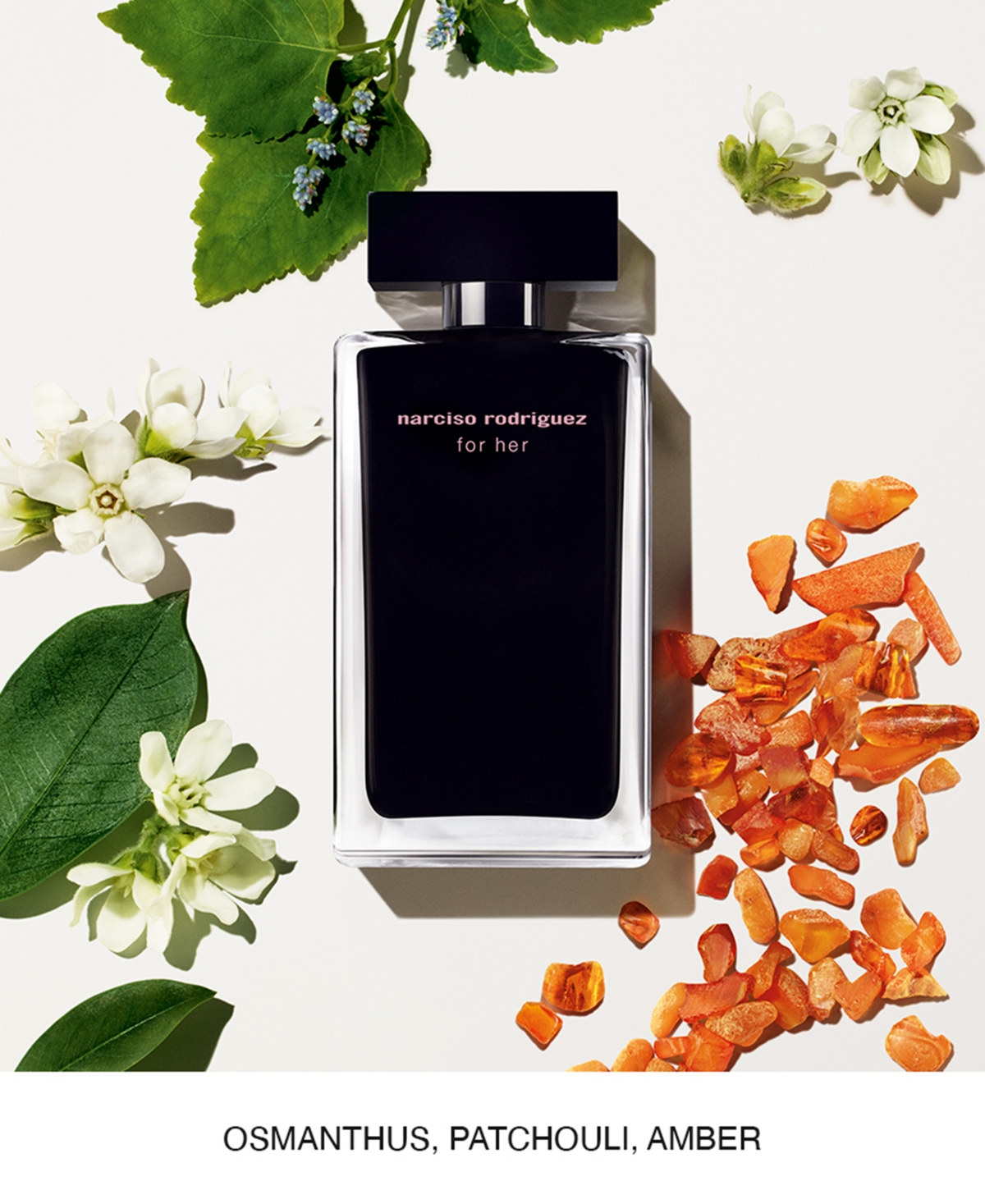 Narciso Rodriguez 3-pc. For Her Eau De Toilette Gift Set In Transparent