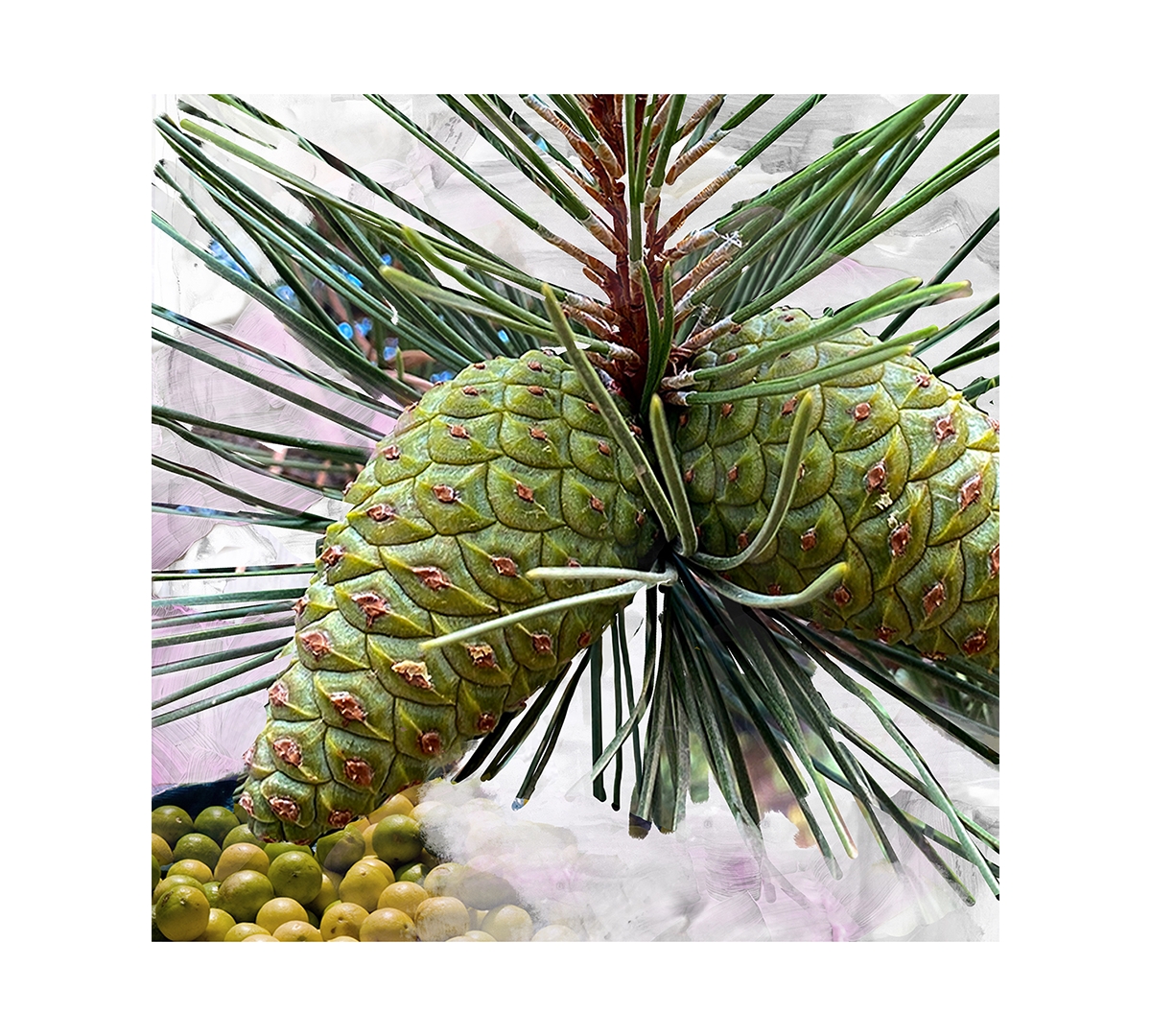 Byredo Gypsy Water Body Wash, 7.6 oz.