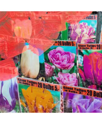 La Tulipe Body Wash, 7.6 oz.