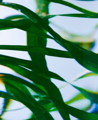 Vetyver Hand Lotion, 15.2 oz.