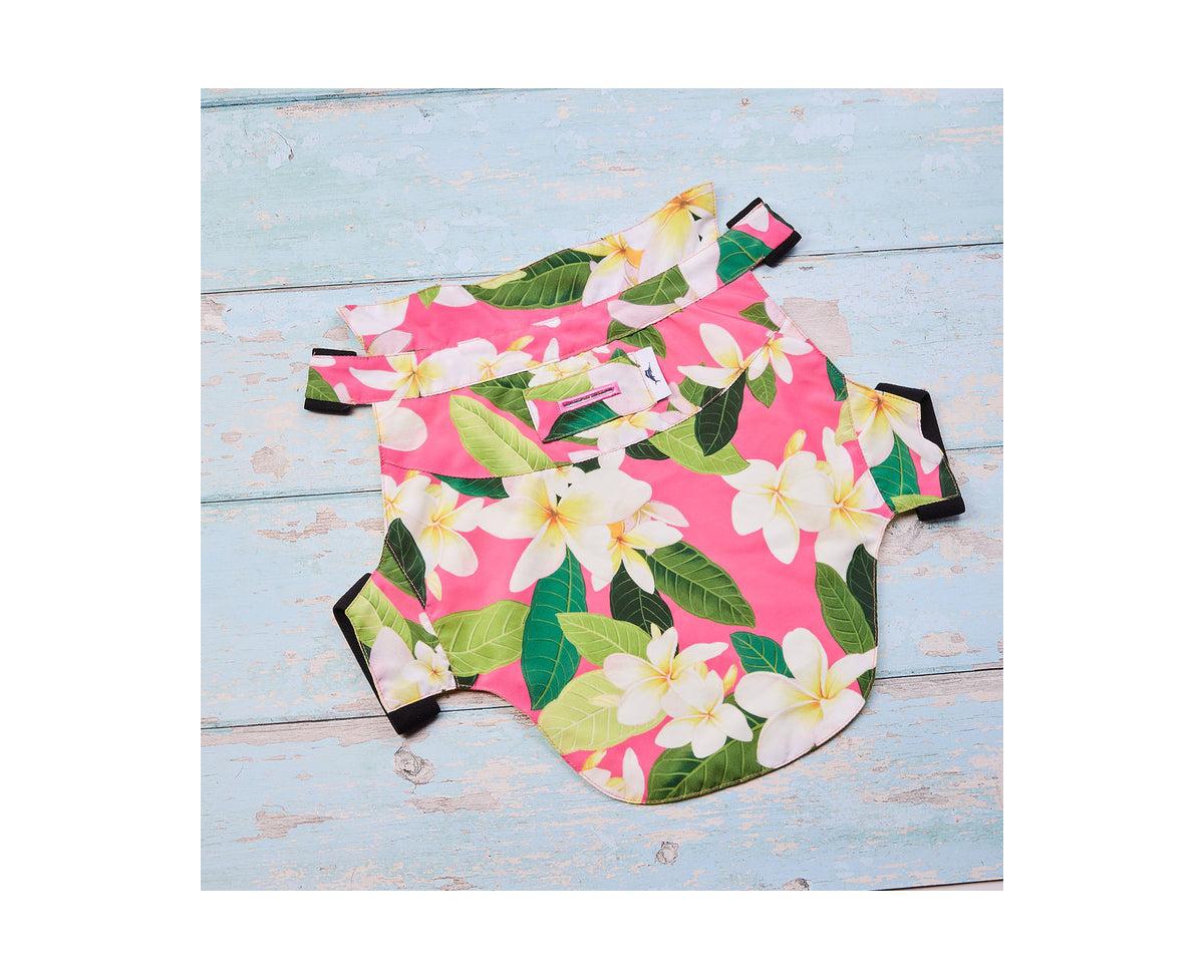 Tommy Bahama Pet Hawaiian Shirt & Apparel Harness