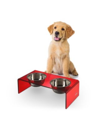Keaton Modern Acrylic Rectangular Elevated Pet Feeder with 2-Stainless Steel Bowls