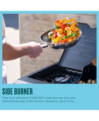 Performance Series FlavorMax 6-Burner Gas Grill - Stainless