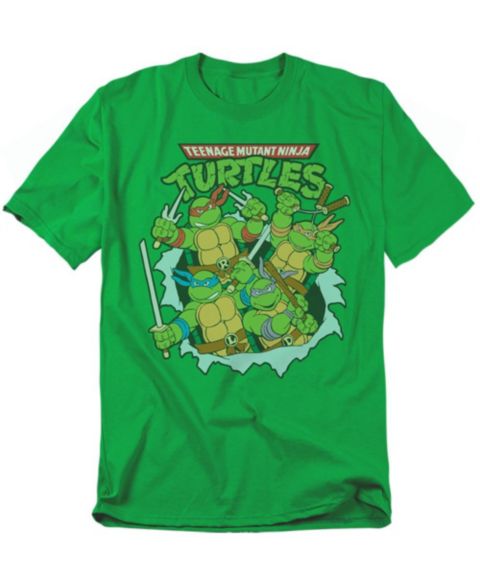Мужская футболка Teenage Mutant Ninja Turtles Big & Tall Retro Group, цвет: Зелёный