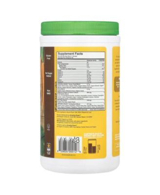 Greens Blend Superfood  Chocolate  -  1.06 oz (480 g)
