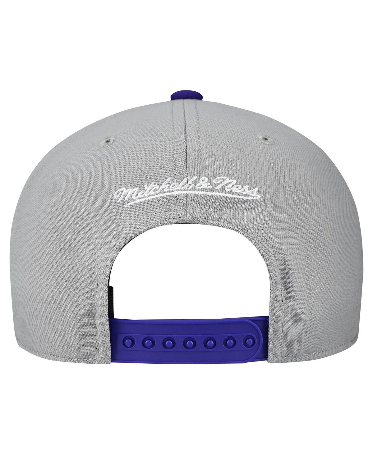 Mitchell & Ness Men's And Women'sâ Gray Tampa Bay Rays Basic Coop Pro Adjustable Hat In Gray