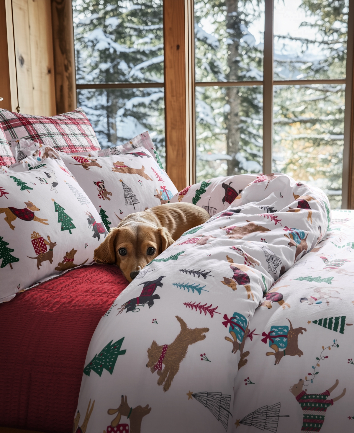 Levtex Home Jingle Paws Reversible 3-pc. Duvet Cover Set, Queen In Multi
