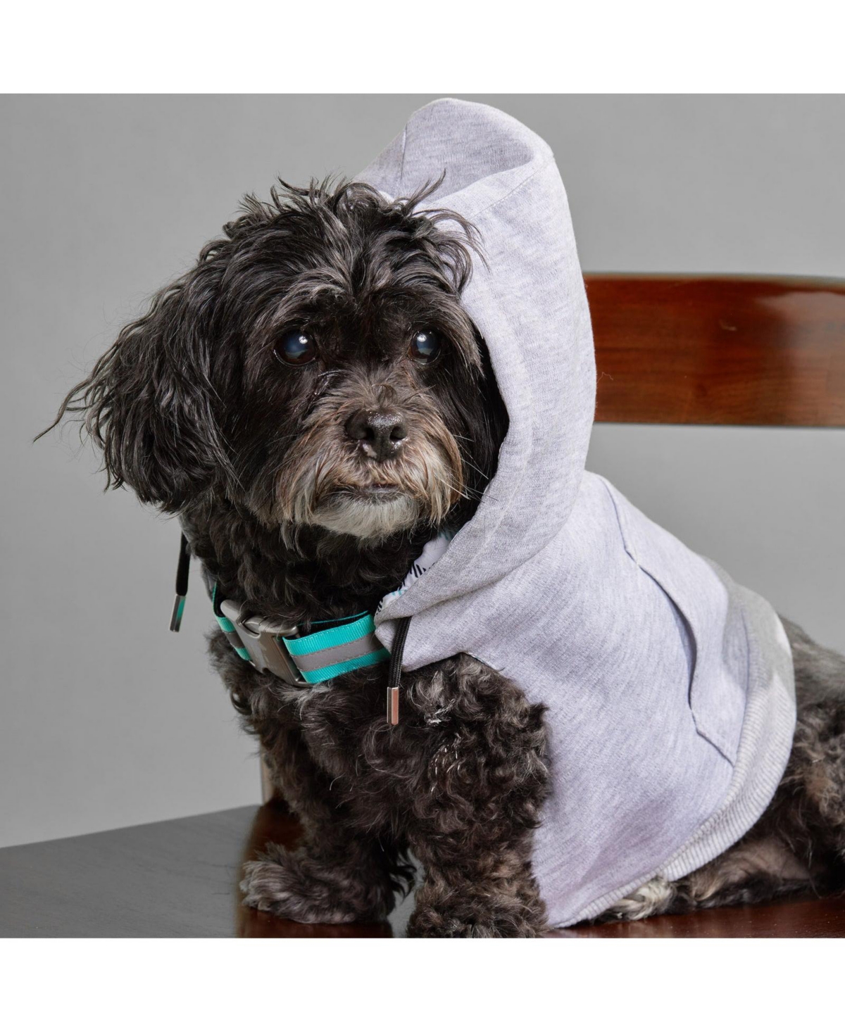 K9 Wear Starter Kit with Grey Hoodie