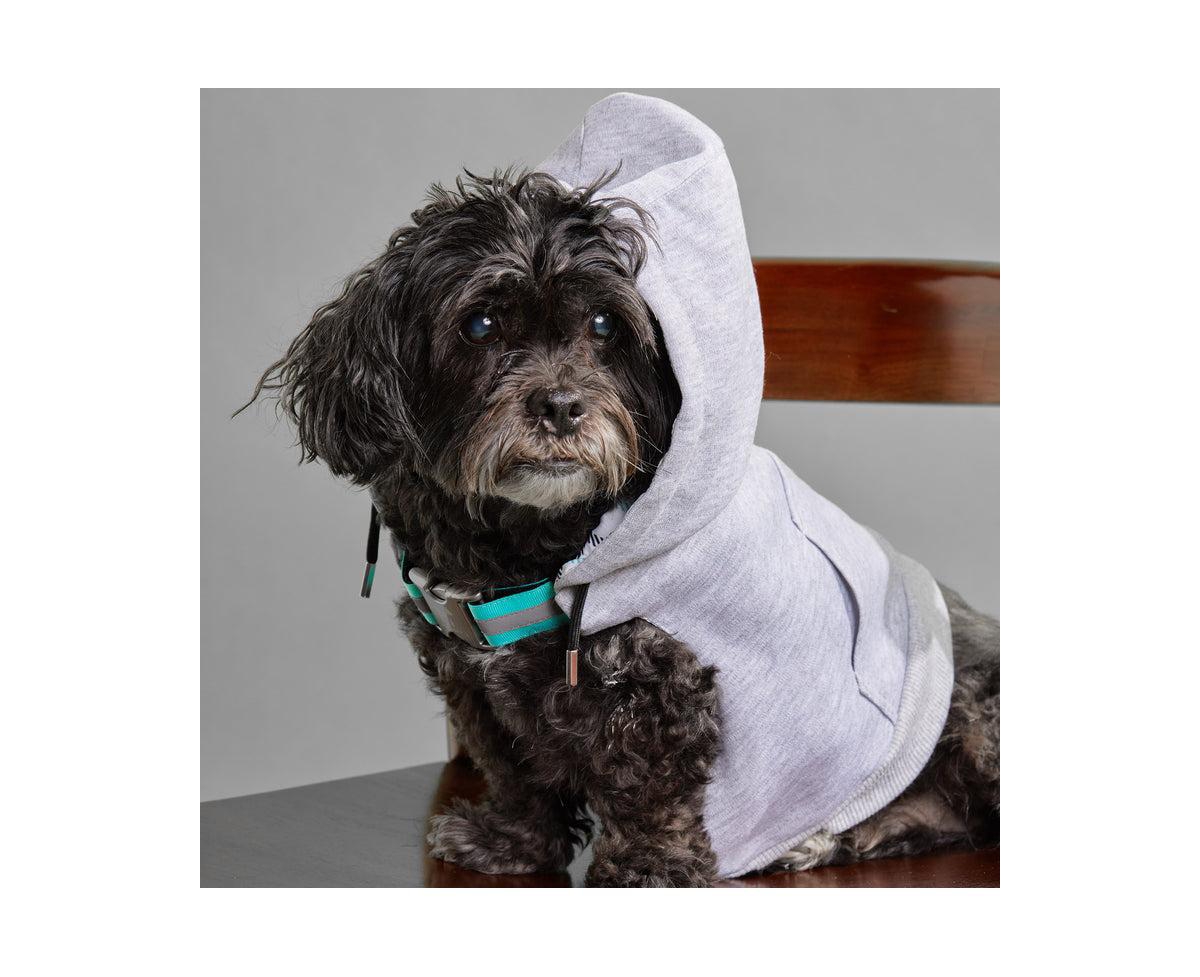 K9 Wear Starter Kit with Grey Hoodie