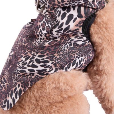 Natori Leopard Raincoat & Harness Set - S