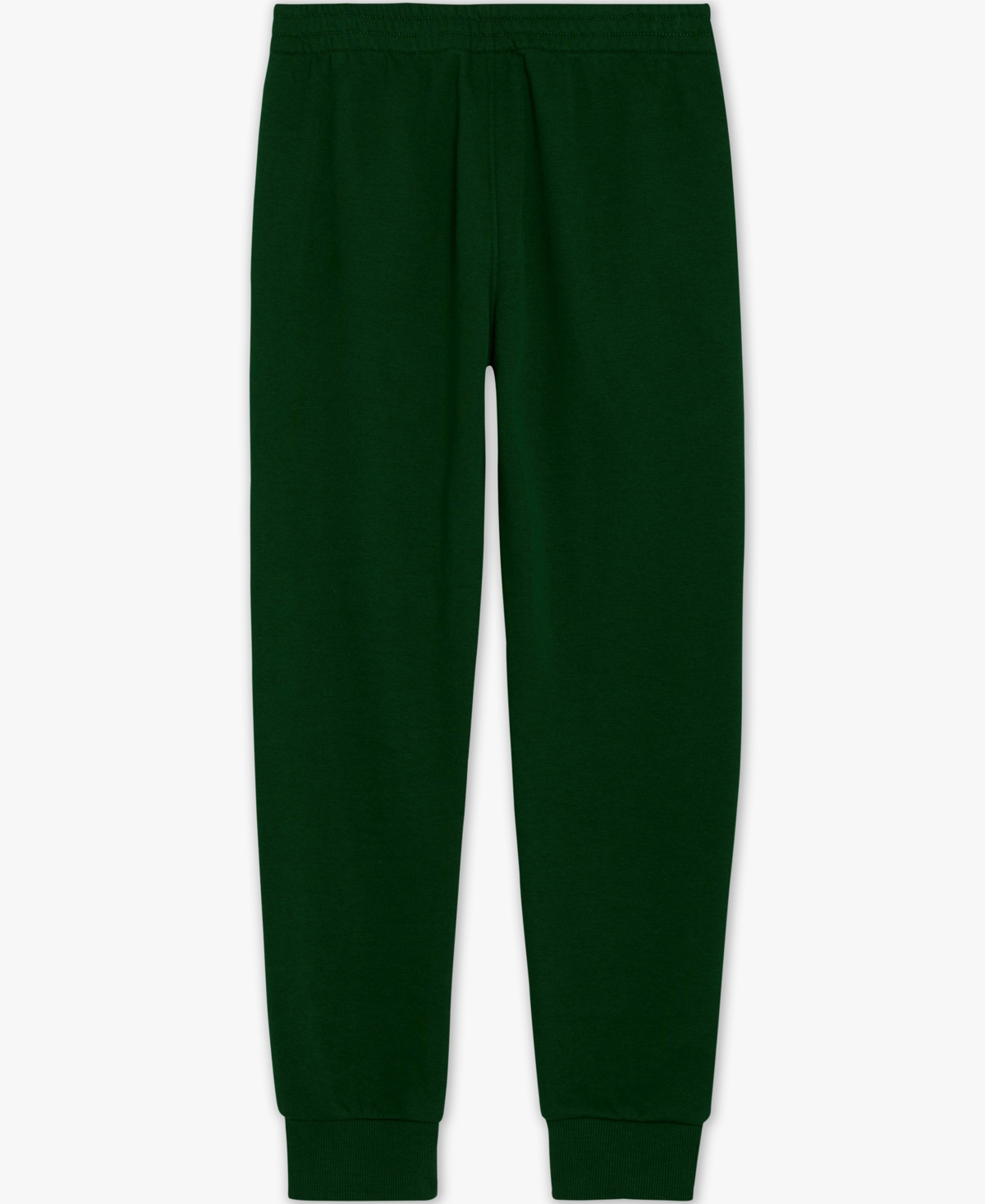 Champion Big Boys Signature Fleece Jogger Pants In Green