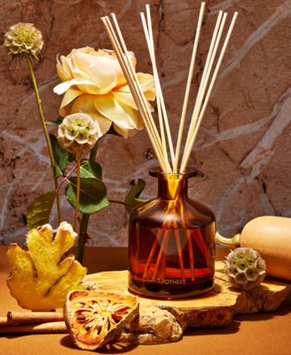 Pumpkin Ginger Reed Diffuser, 6.7 oz.