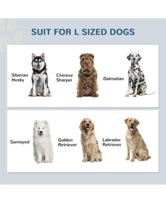 37 in-L White Elevated Dog Bowls Storage Cabinet Raised Dog Bowl Stand Feeding Station