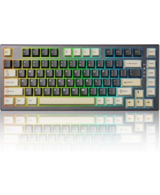 RT80 Rapid Trigger Hall Effect Magnetic Gaming Keyboard, 8K Polling Rate,75% Layout,BT/2.4GHz/Wired,RGB Backlit,Hot Swap,Adjustable Actuation Wireless