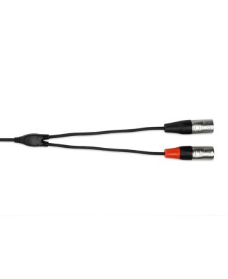15' REAN 3.5mm TRS to Dual XLR3M 24 AWG Pro Stereo Breakout Cable